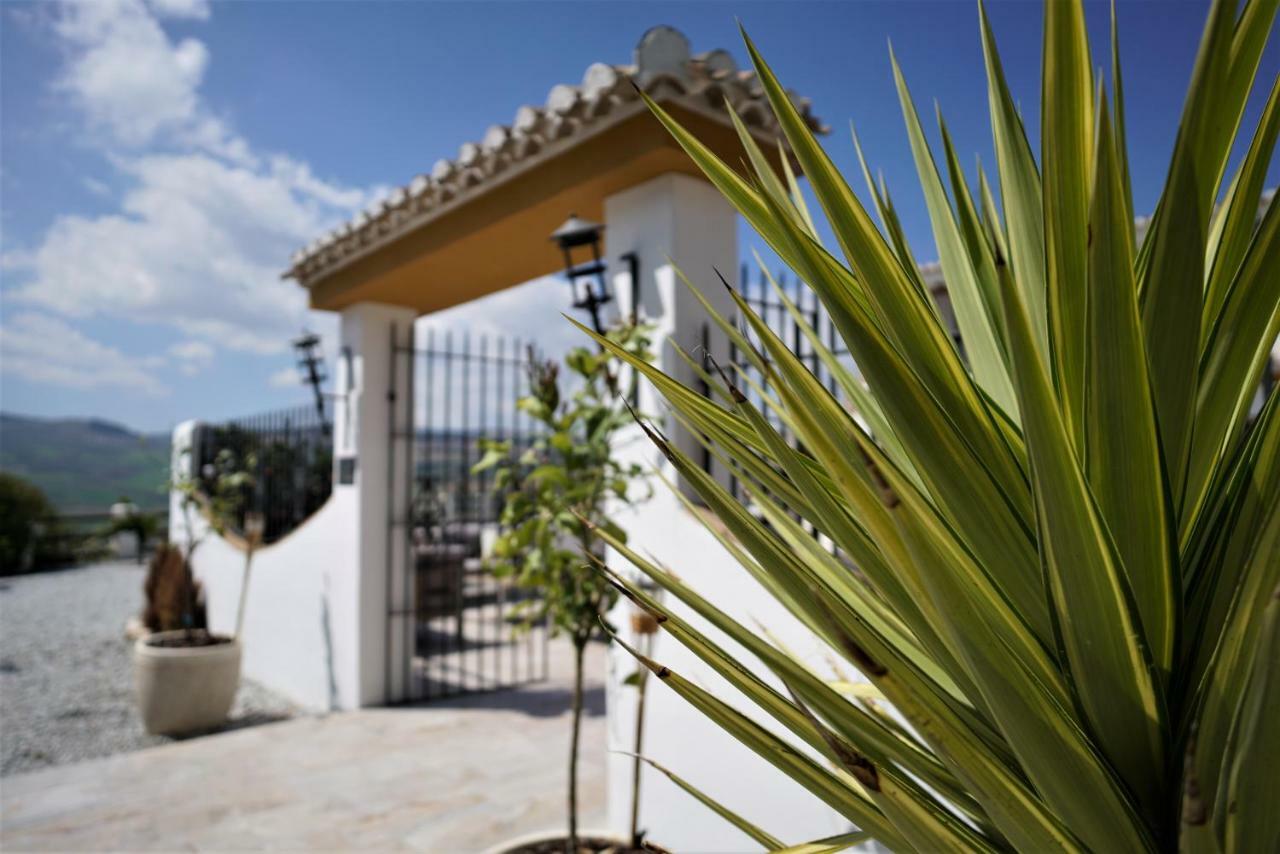 El Amparo Bed & Breakfast Alhama de Granada Exterior photo